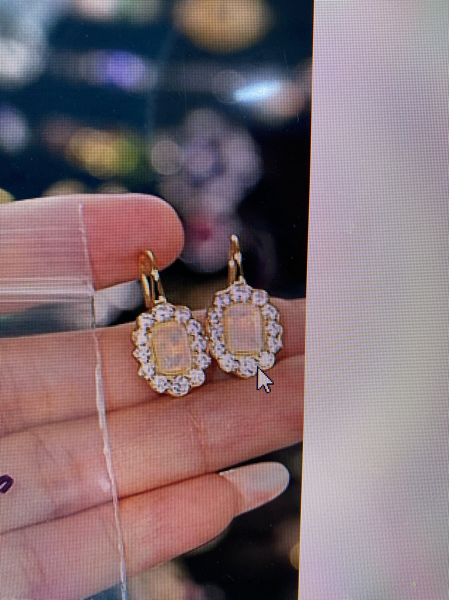 Nini-The pair of opals in the picture